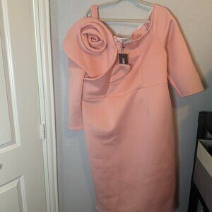 Shein Pink Bow Fitted Dress